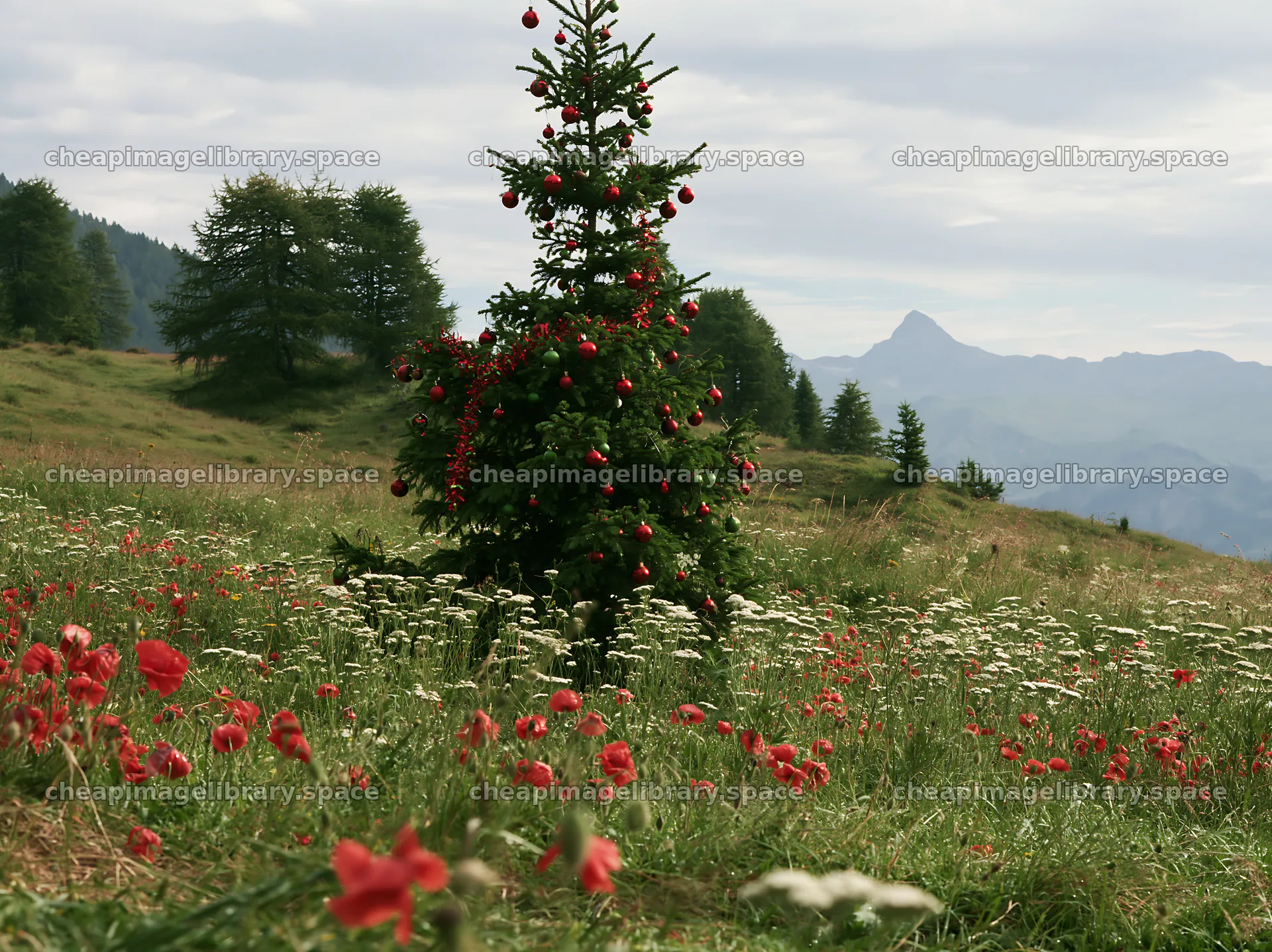 Christmas tree with baubles in mountain meadow with flowers – image library 9174x6866