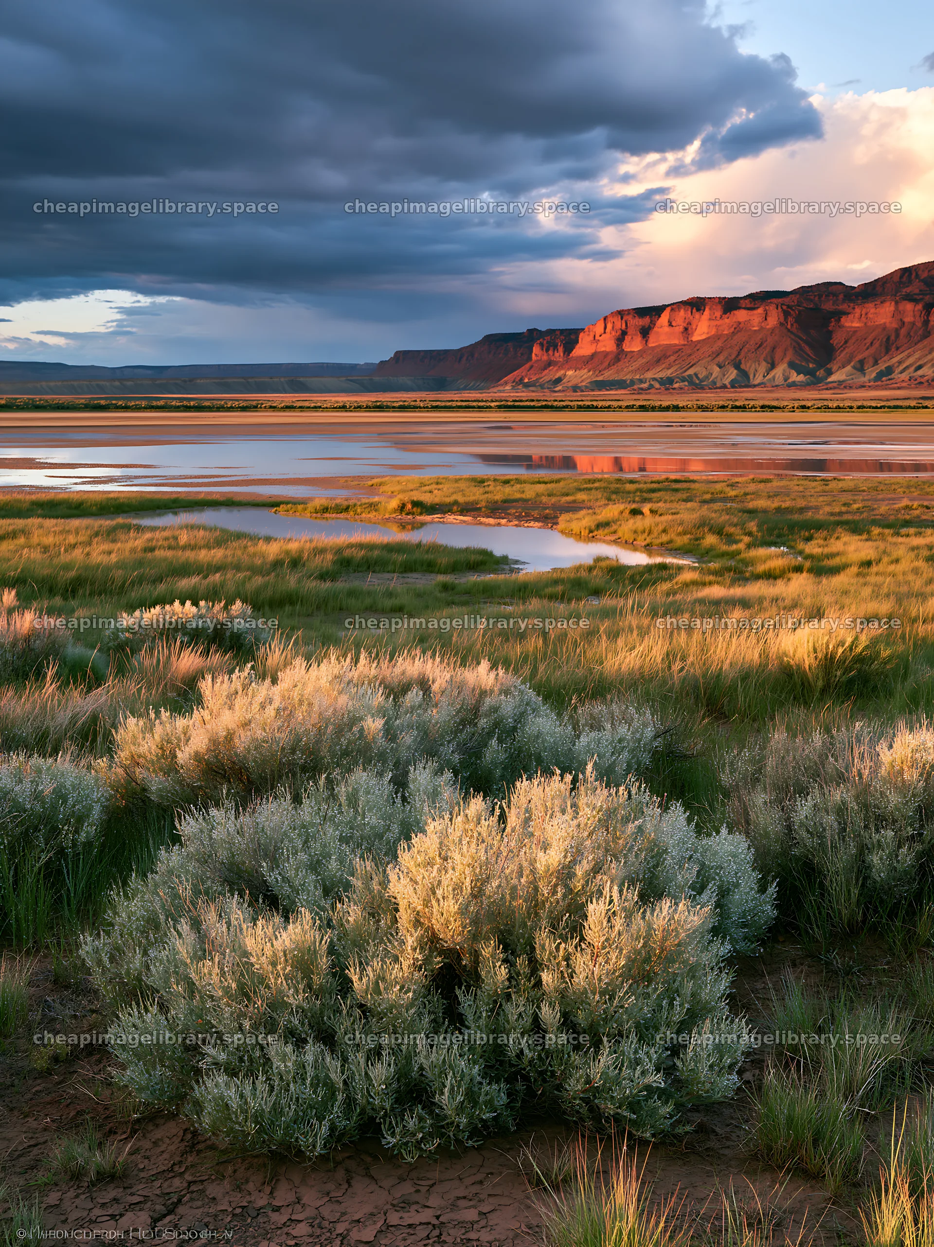 Sagebrush meadow under clouds at sunset in open landscape – image library 6866x9174