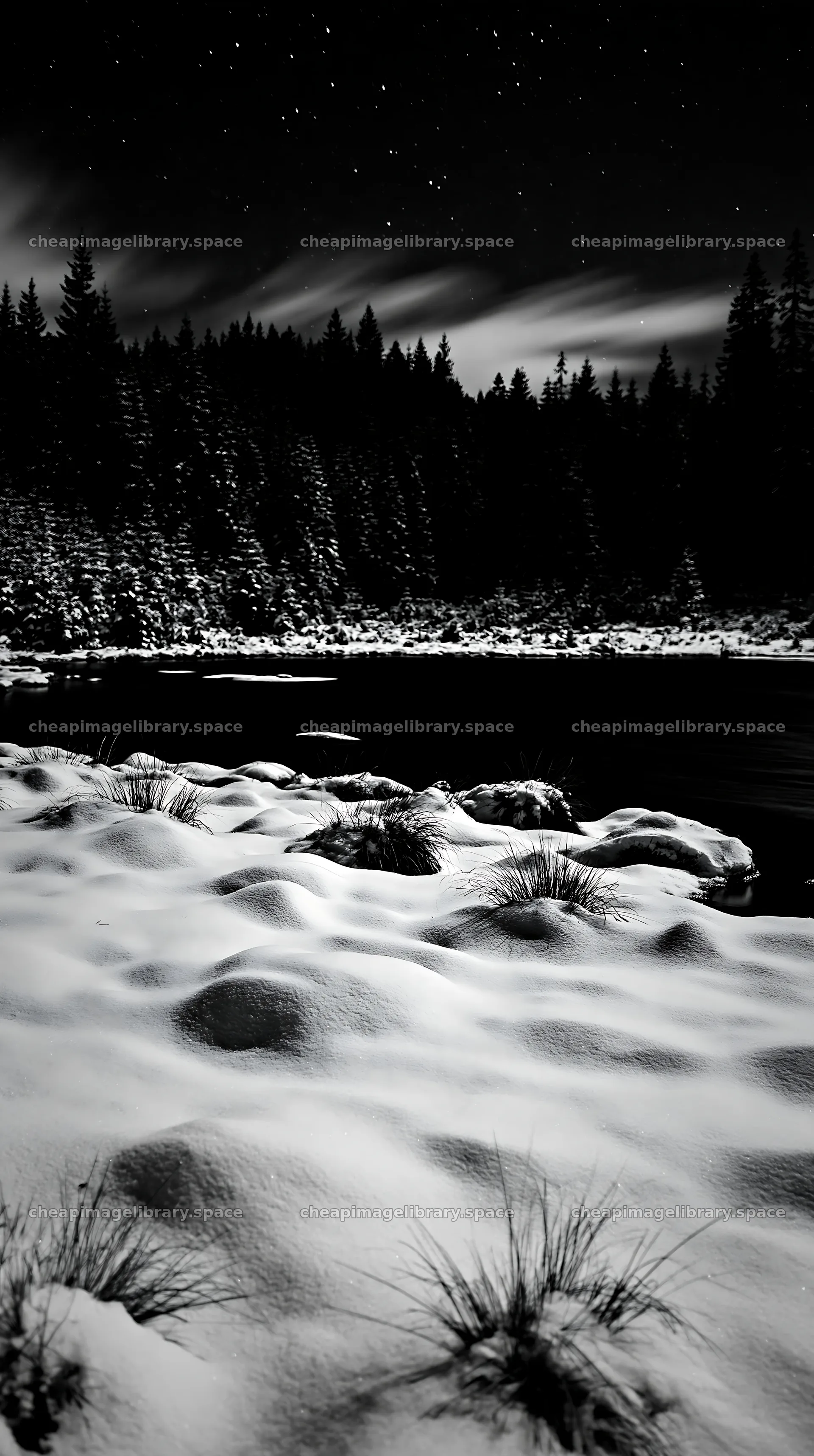 Snowy lakeside meadow under night sky in winter – image library 5938x10608