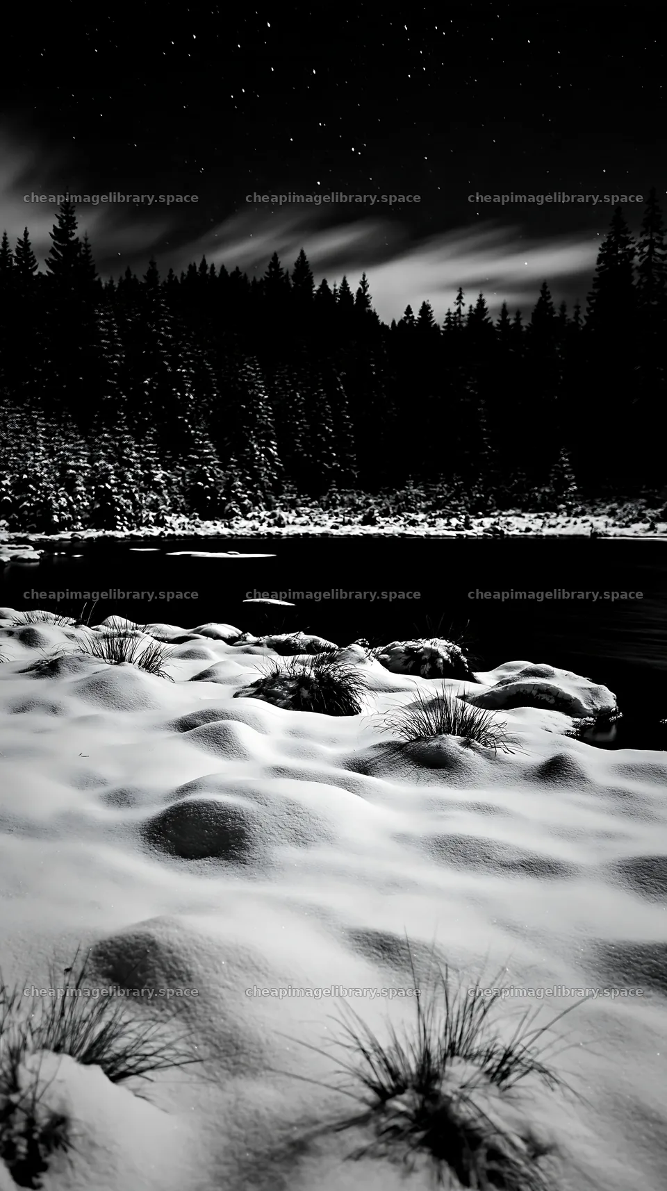 Snowy lakeside meadow under night sky in winter – image library 5938x10608