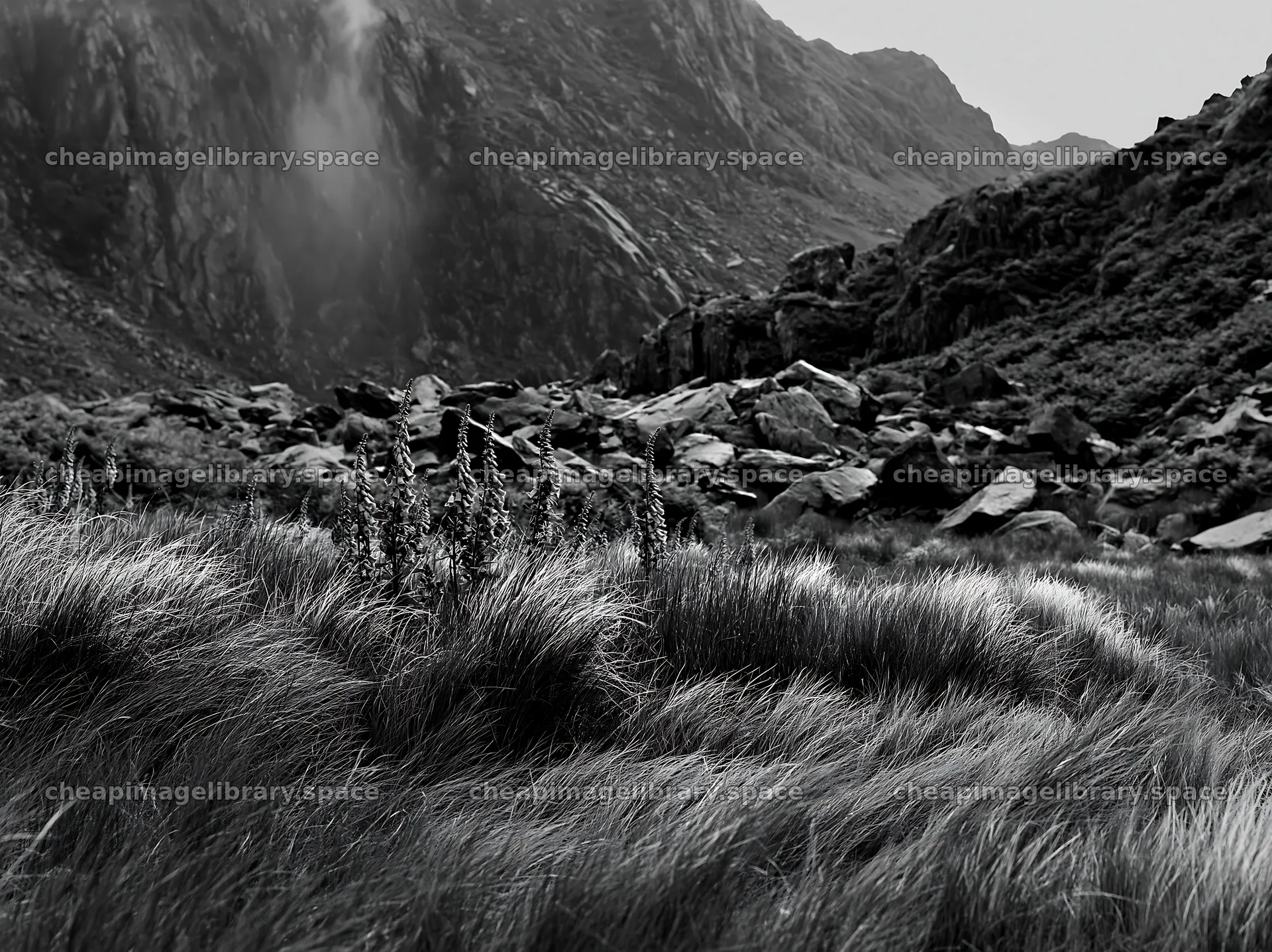 Meadow beneath crags with rocky formations and grass – image library 9174x6866