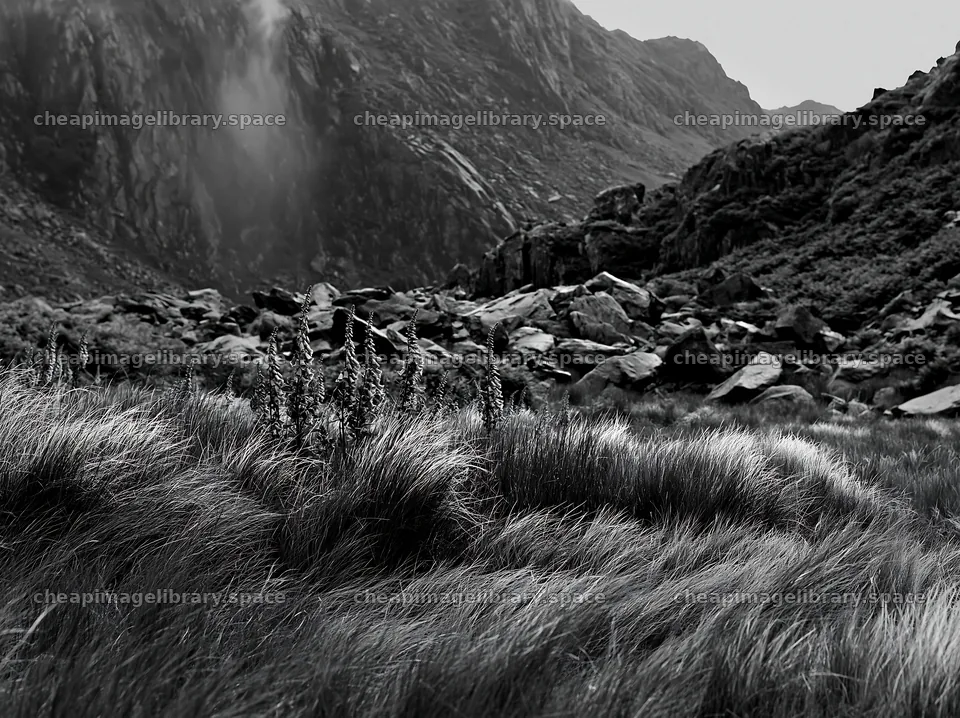 Meadow beneath crags with rocky formations and grass – image library 9174x6866