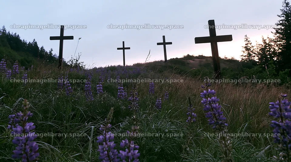 Christian crosses in a rain soaked meadow with purple flowers – image library 10608x5938