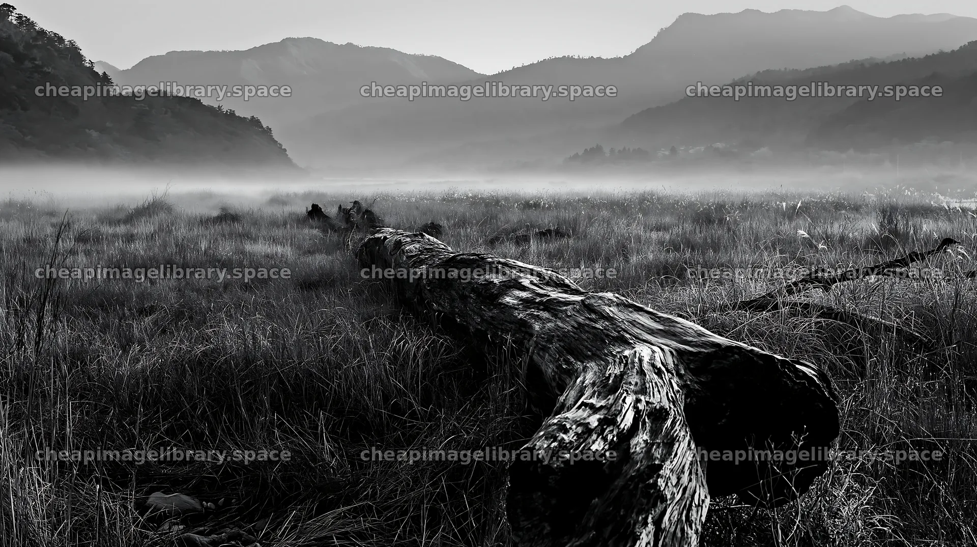 Wakayama autumn meadow with weathered wood log in foreground – image library 10608x5938