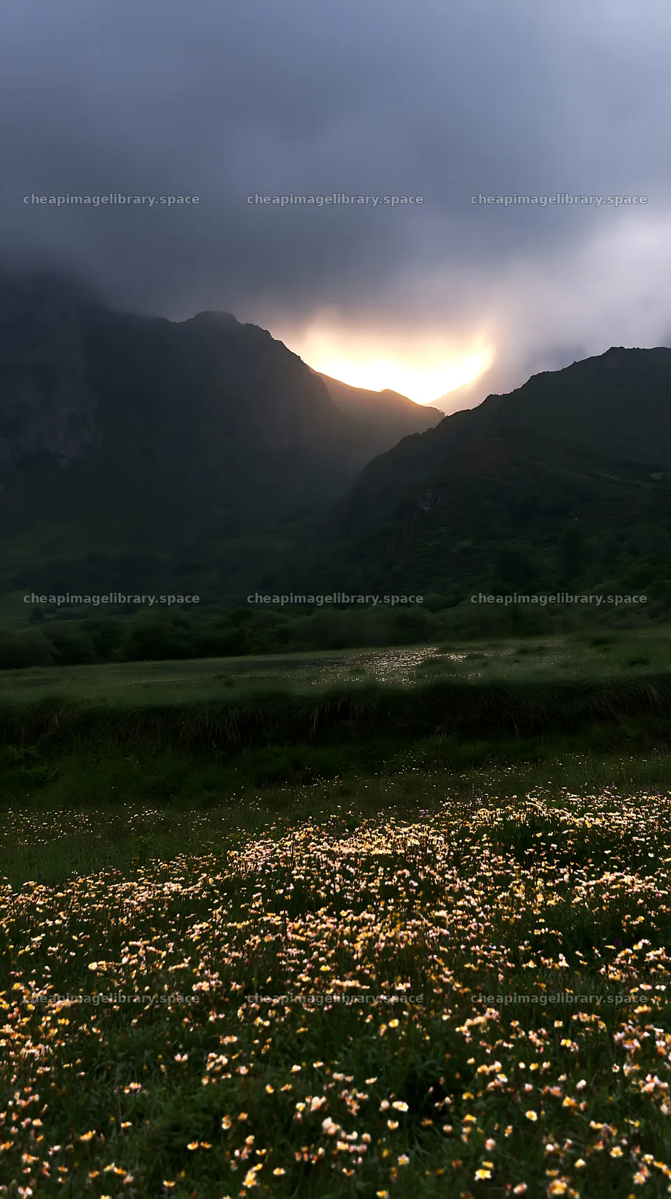 Picos de Europa meadow with sun rays behind mountains – image library 5938x10608