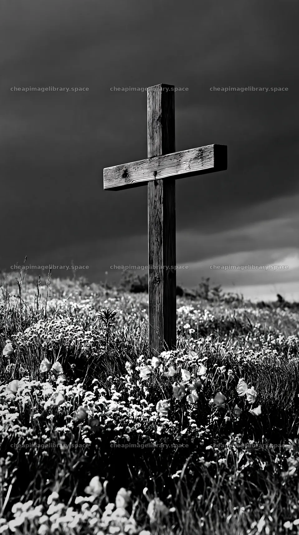 Christian cross in a meadow with morning light – image library 5938x10608