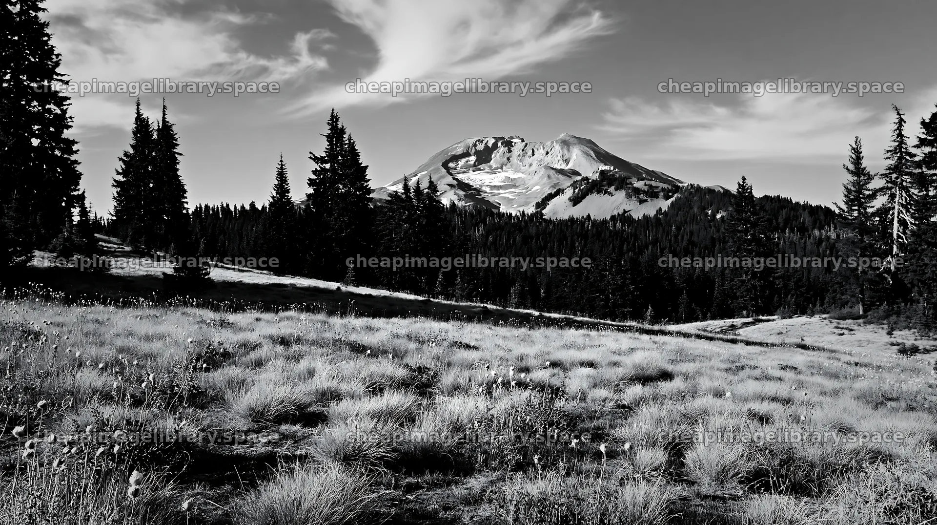 Seedhead meadow with mountain in the background – image library 10608x5938