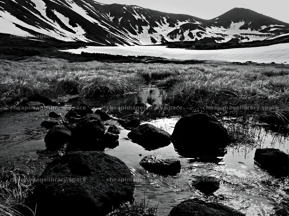 Akita snowmelt meadow with silver grasses and flowing water – image library 9174x6866
