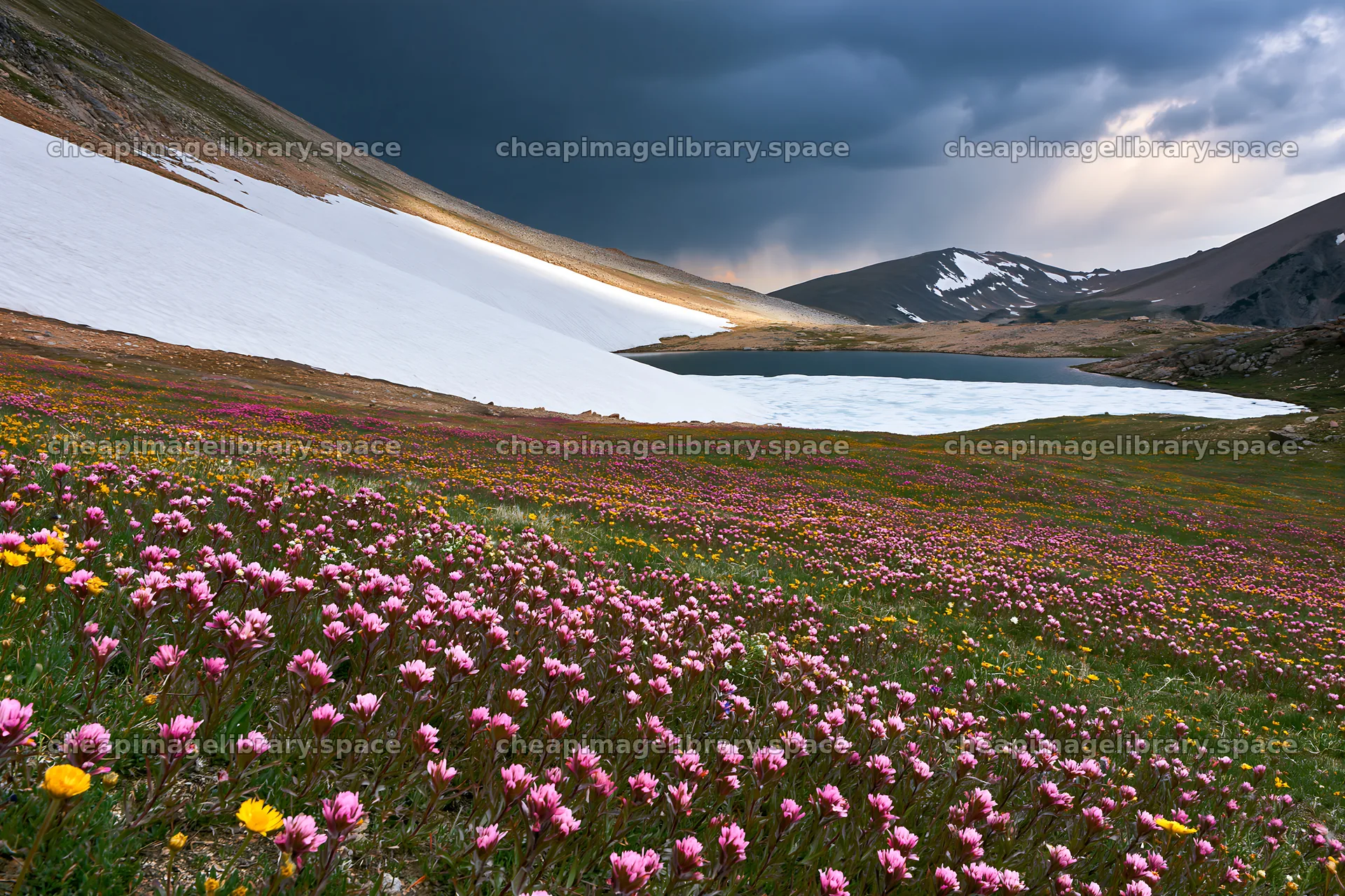Frozen tarn meadow with flowers under stormy sky – image library 9722x6480