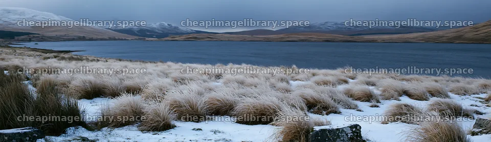 Snowy lakeside meadow with grass and mountains in the background – image library 14762x4268
