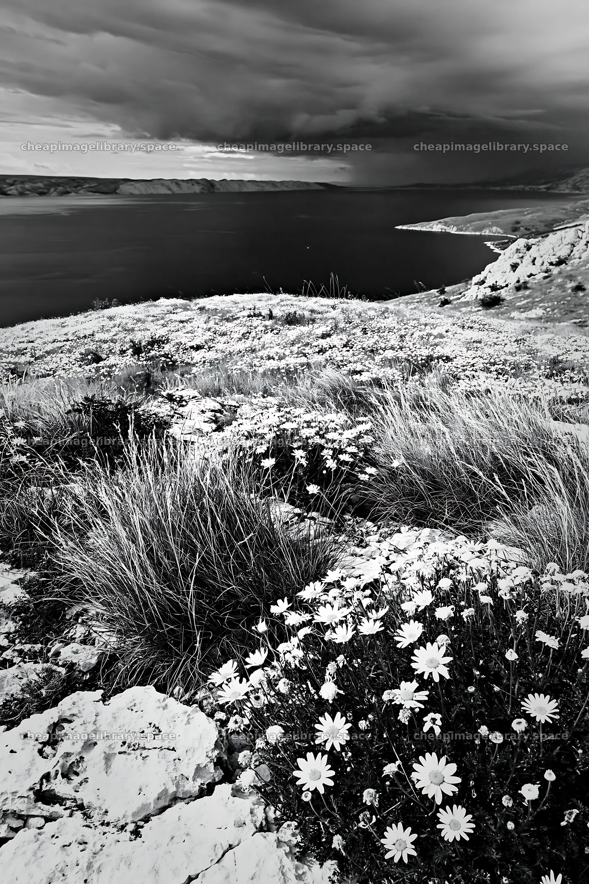 Croatian meadow above Adriatic coast under cloudy skies – image library 6480x9722