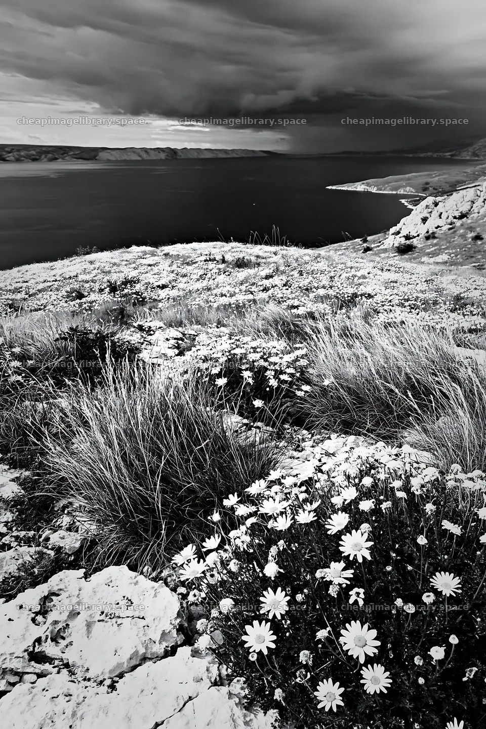 Croatian meadow above Adriatic coast under cloudy skies – image library 6480x9722
