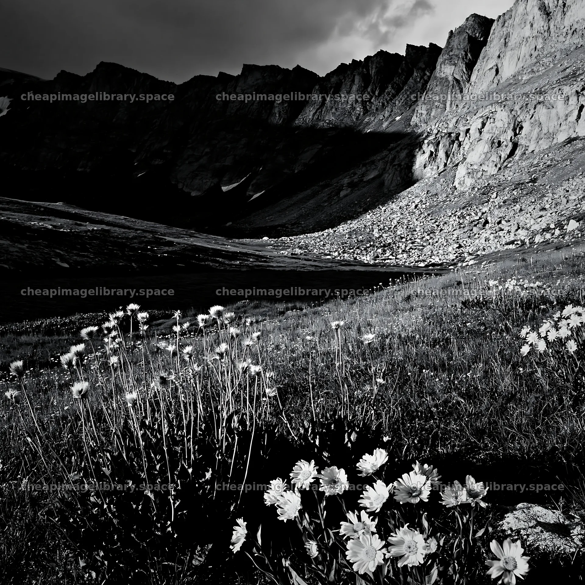 Meadow beneath crags with flowers and rocky backdrop – image library 7938x7938