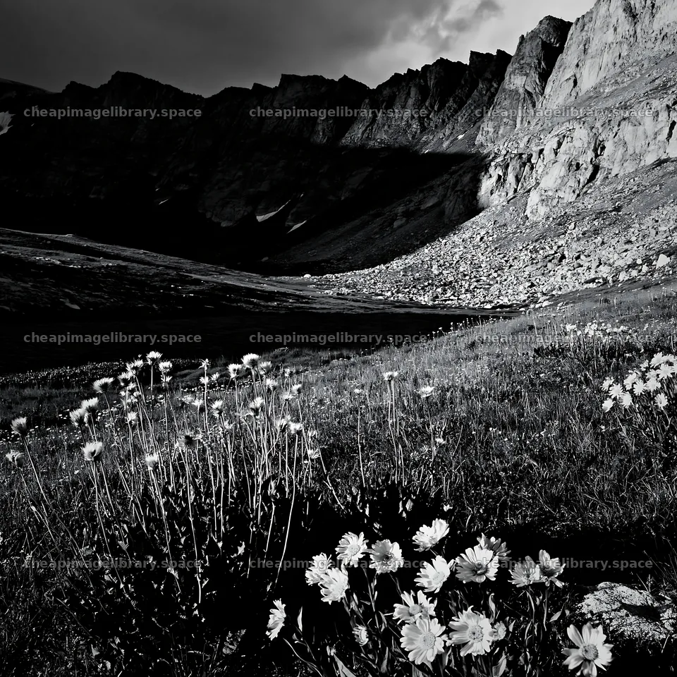 Meadow beneath crags with flowers and rocky backdrop – image library 7938x7938