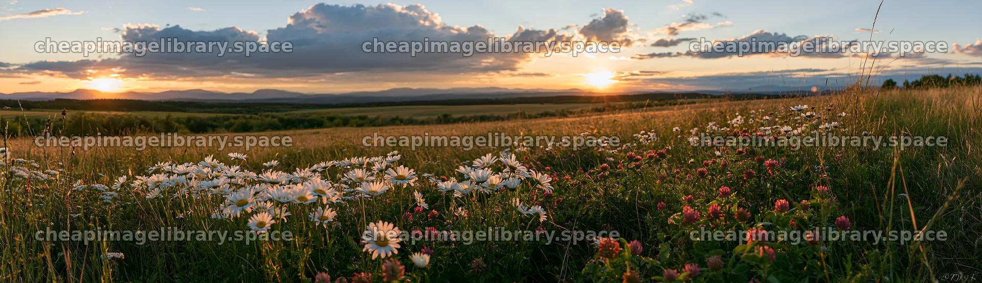 German foothill meadow at sunset with flowers and mountains – image library 14762x4268