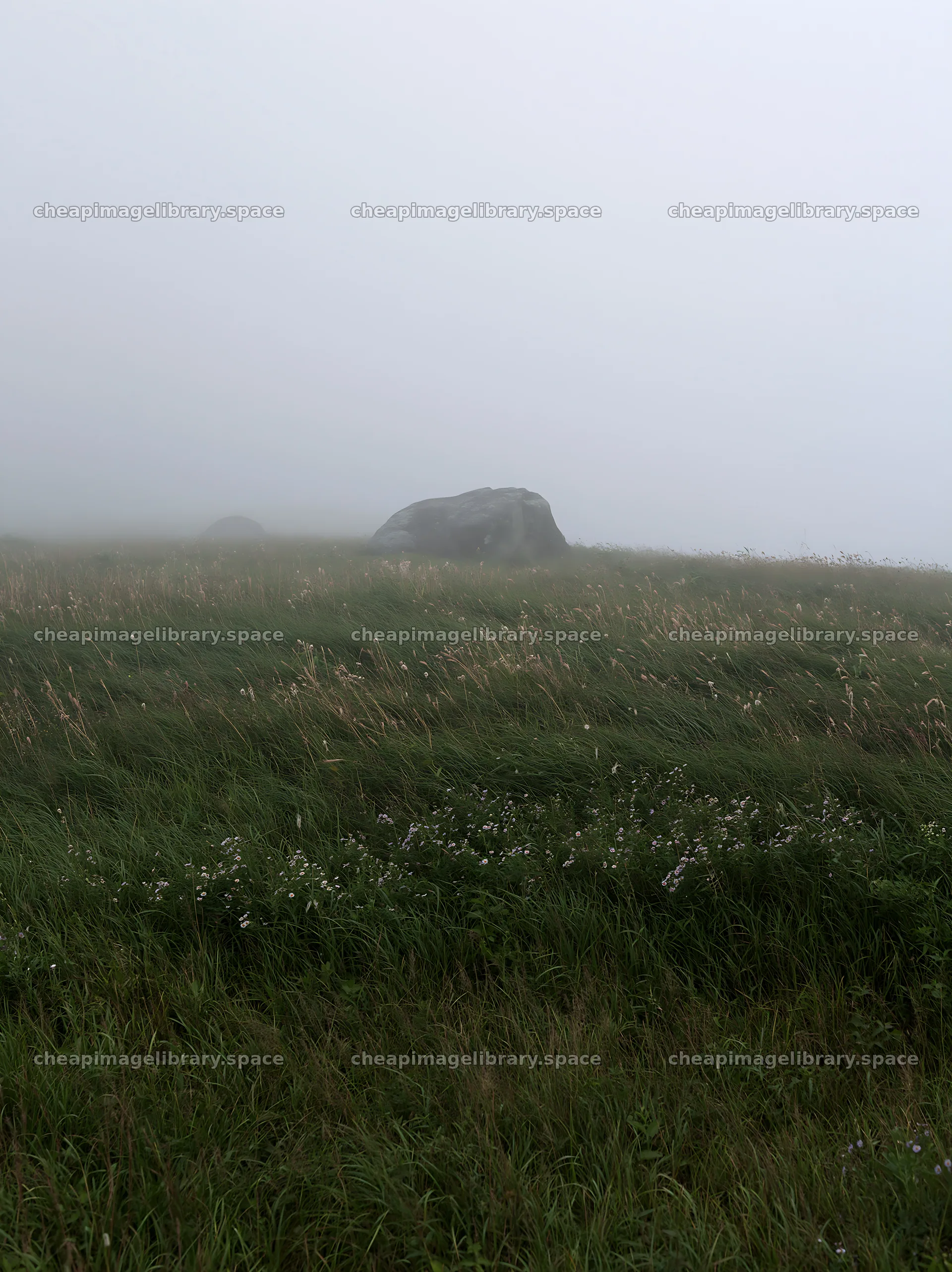Aomori climate resilient meadow with boulder in fog – image library 6866x9174