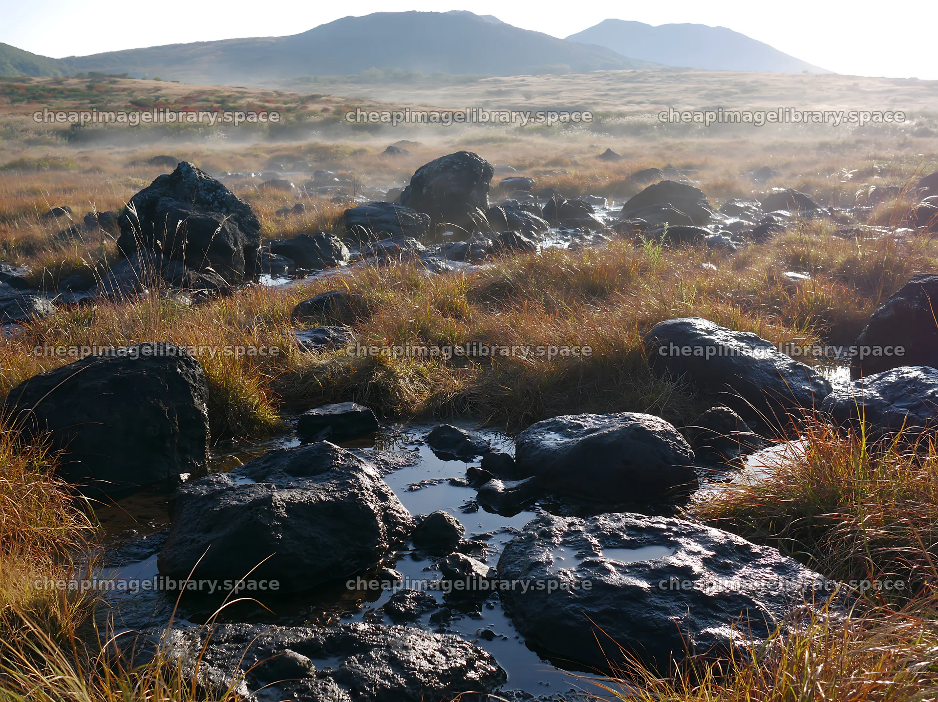 Kanagawa meadow with volcanic stones under morning light – image library 9174x6866