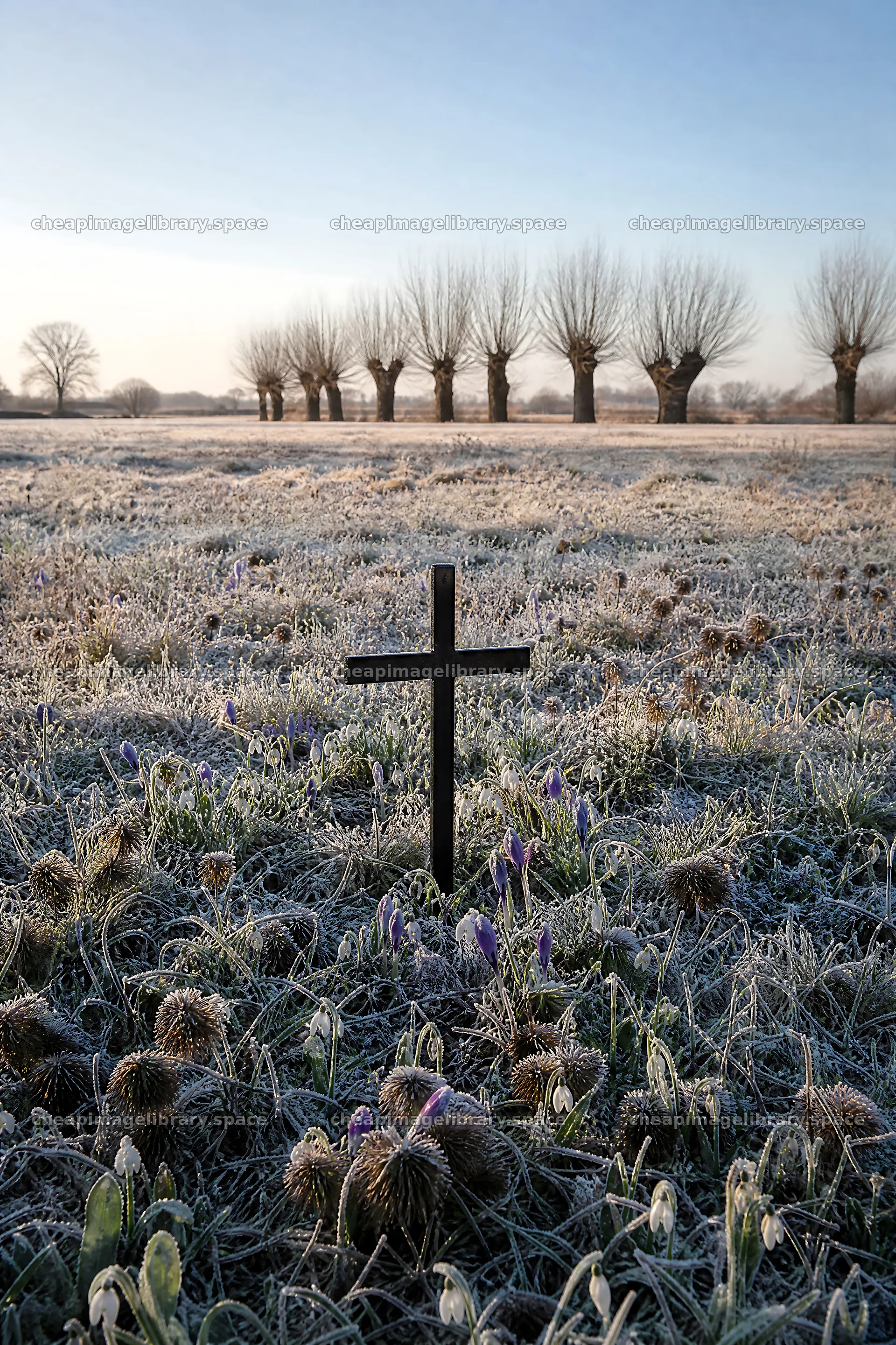 Christian cross in a winter meadow with low sunlight – image library 6480x9722