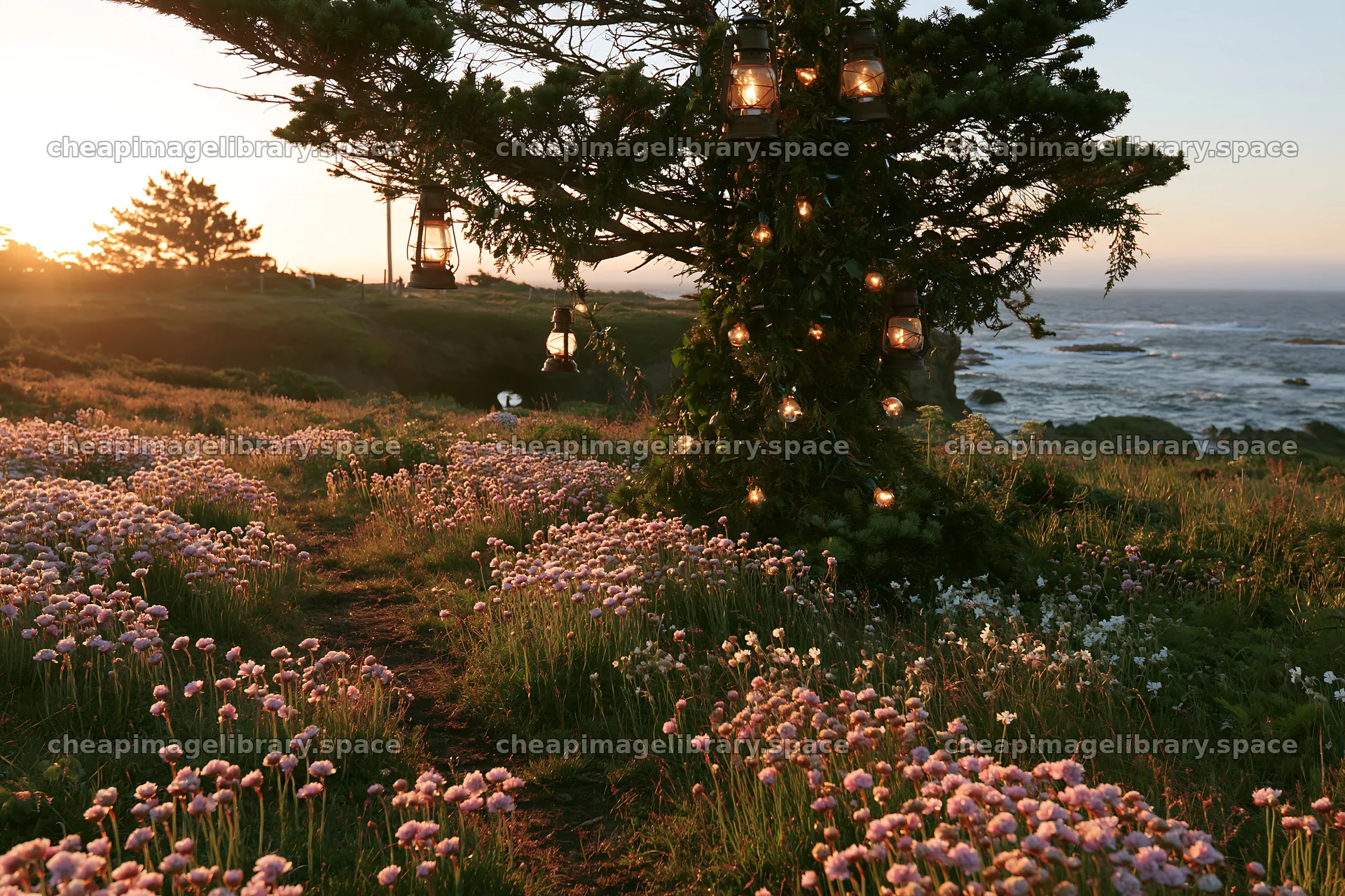 Christmas tree with lanterns in meadow by cave – image library 9722x6480
