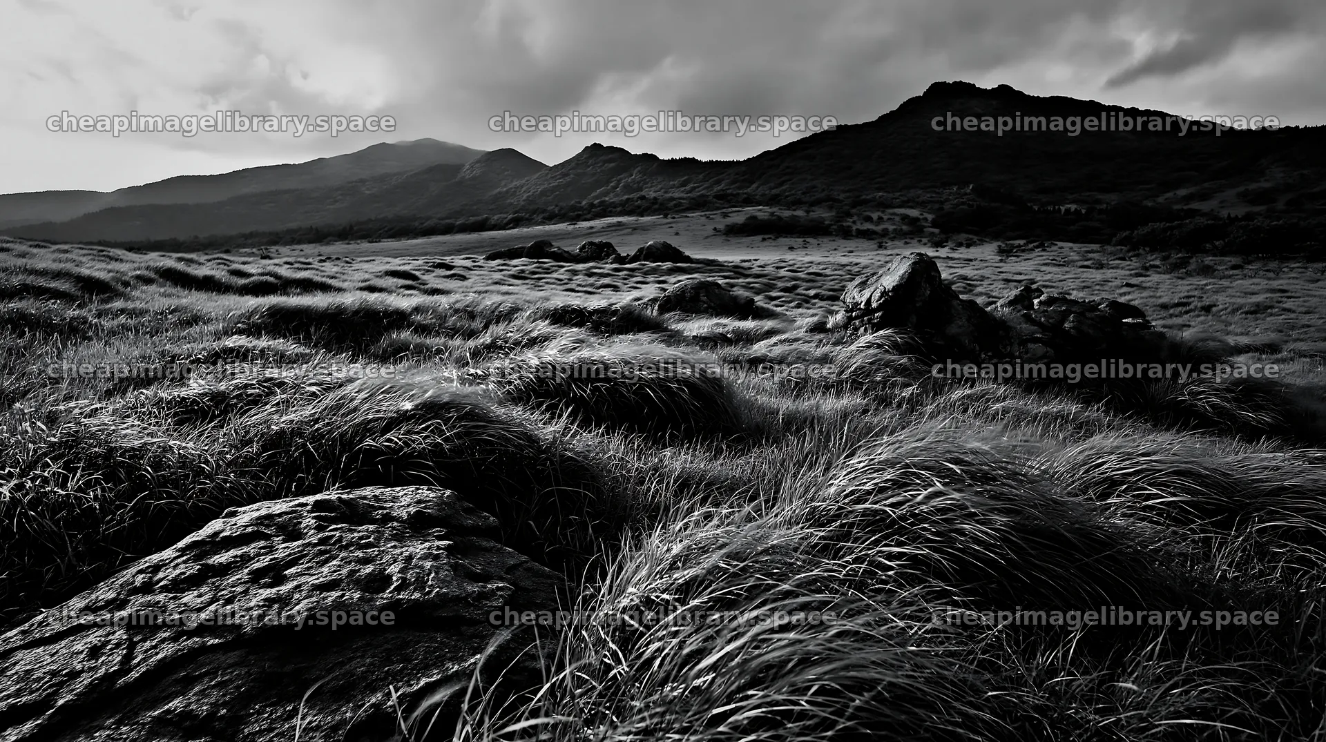 Oita highland meadow with granite stones in black and white – image library 10608x5938