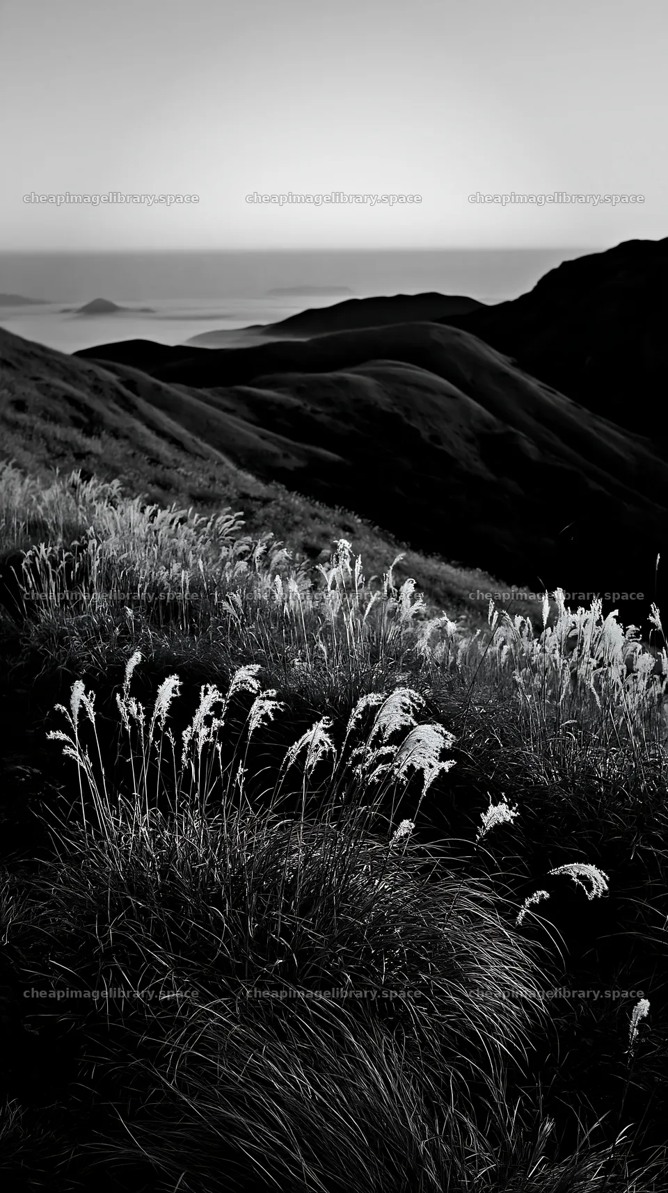 Oita highland meadow with granite stones at dawn – image library 5938x10608