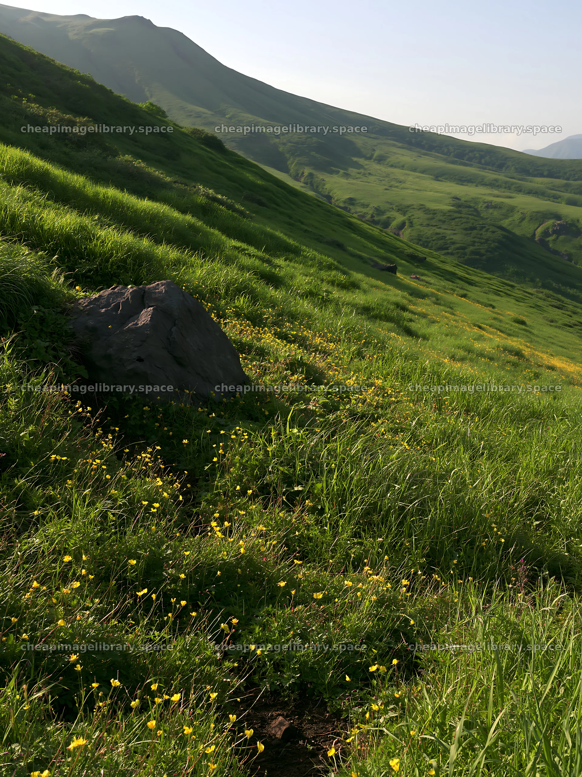Aomori climate resilient meadow with boulder under blue sky – image library 6866x9174