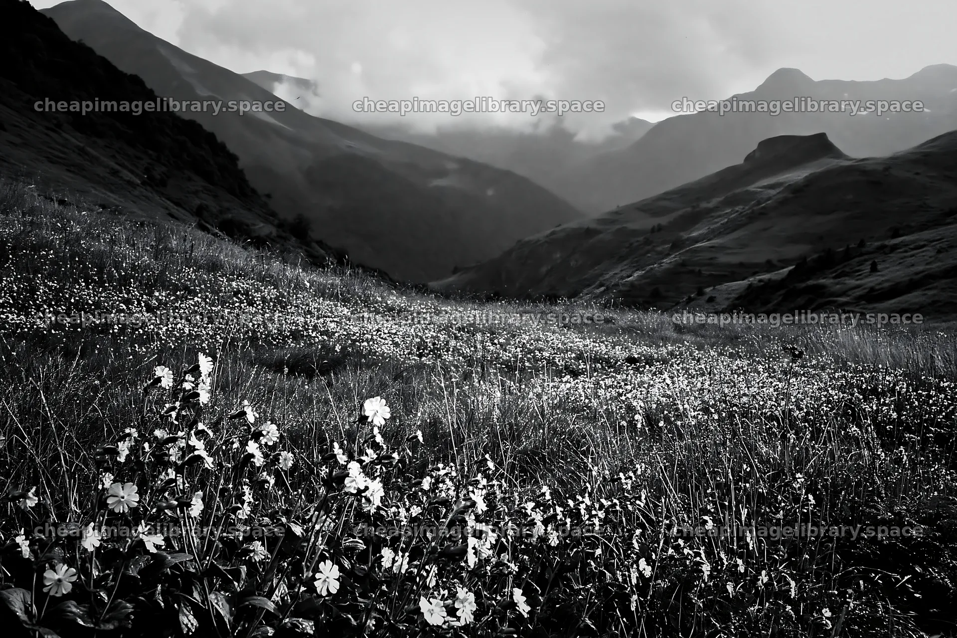 French meadow below Pyrenees mountains with flowers and clouds – image library 9722x6480