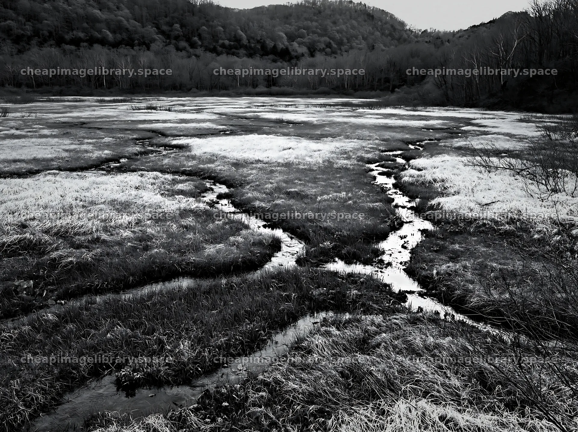 Akita snowmelt meadow with silver grasses under cloudy skies – image library 9174x6866