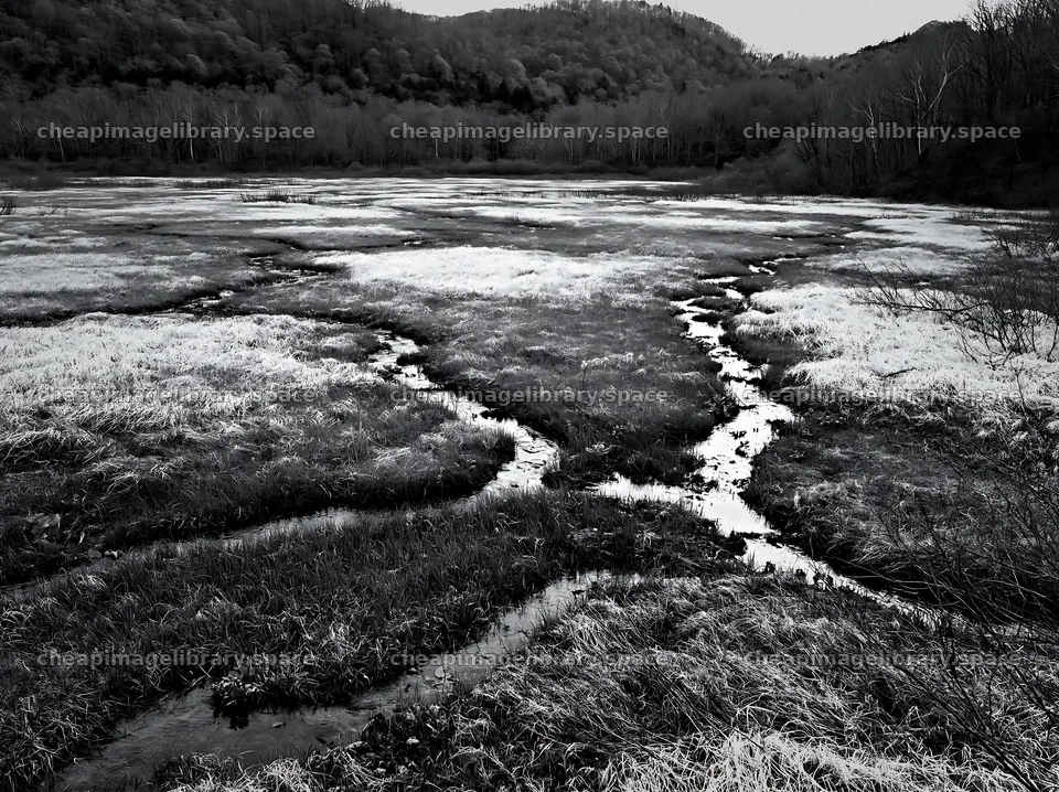 Akita snowmelt meadow with silver grasses under cloudy skies – image library 9174x6866