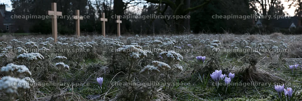 Four Christian crosses in winter meadow – image library 13690x4602