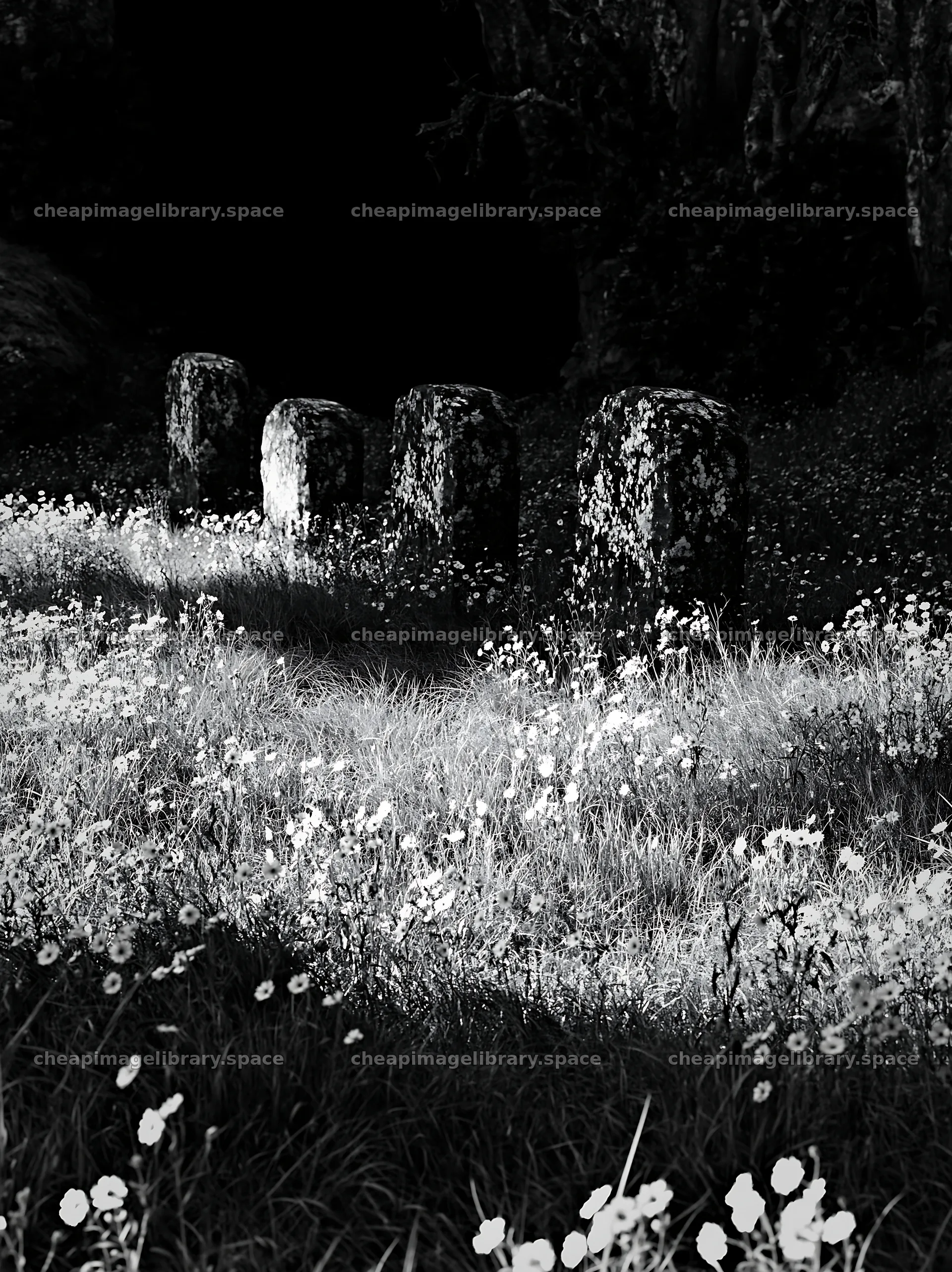 Christmas wreaths in meadow by cave – image library 6866x9174
