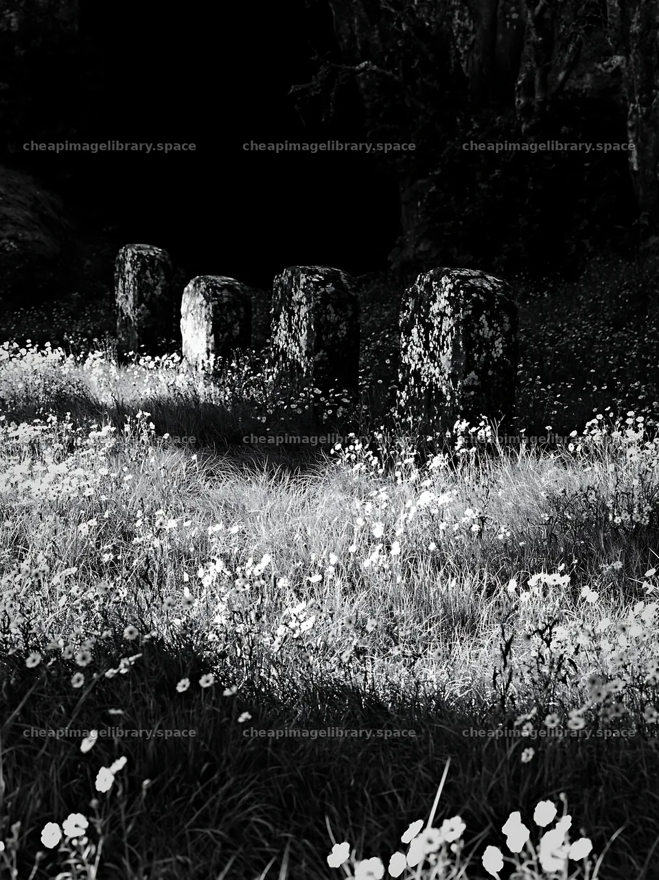 Christmas wreaths in meadow by cave – image library 6866x9174