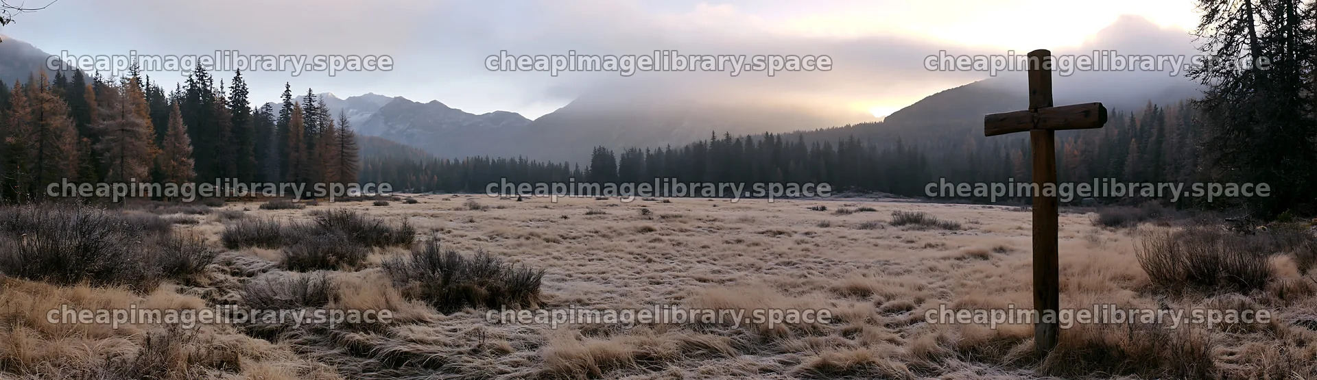 Carved oak cross stands in frosted meadow at dawn – image library 14762x4268