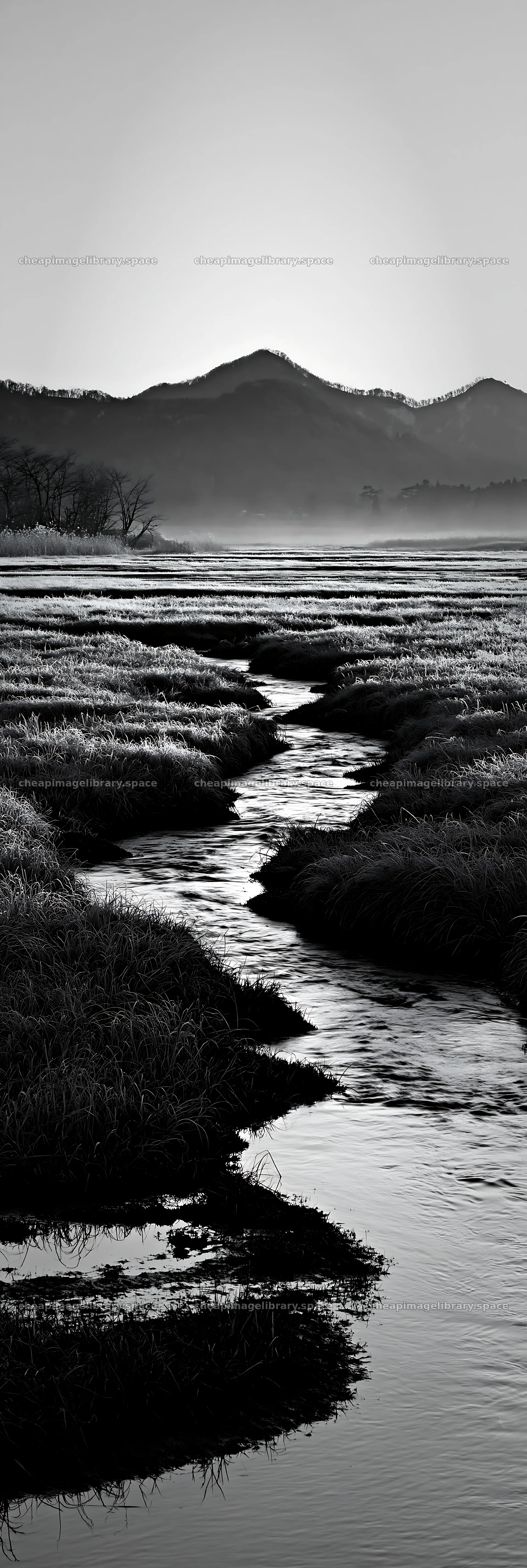 Akita snowmelt meadow with silver grasses near a gentle stream – image library 4602x13690