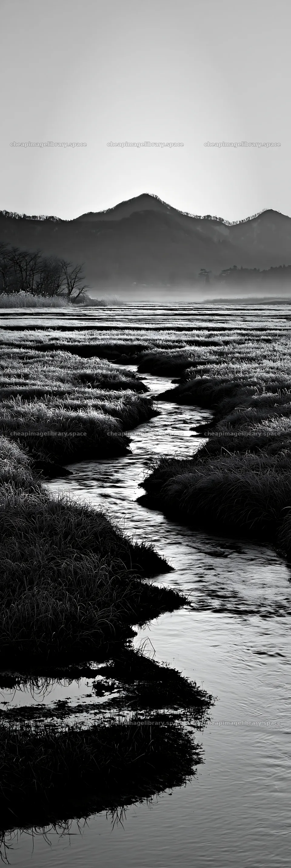 Akita snowmelt meadow with silver grasses near a gentle stream – image library 4602x13690