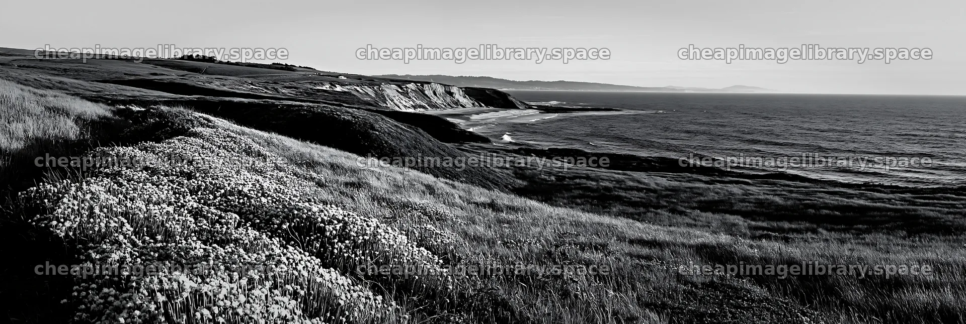 Coastal cliff meadow landscape with ocean in background – image library 13690x4602