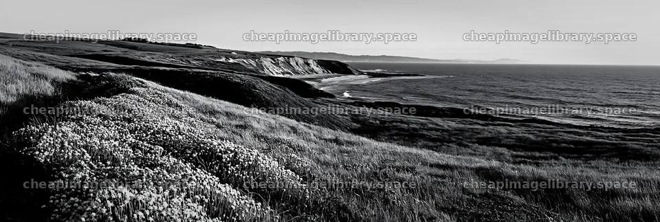 Coastal cliff meadow landscape with ocean in background – image library 13690x4602
