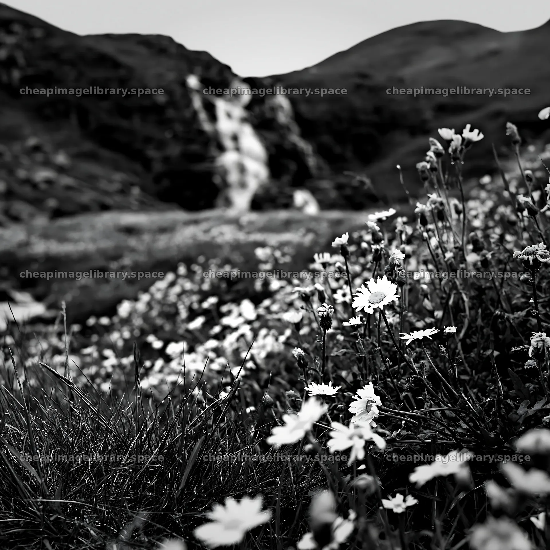 Wildflower meadow under cascading falls – image library 7938x7938